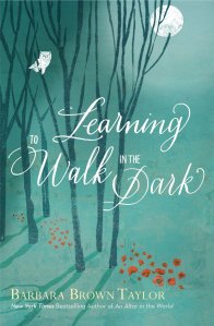 Learning to Walk In The Dark cover