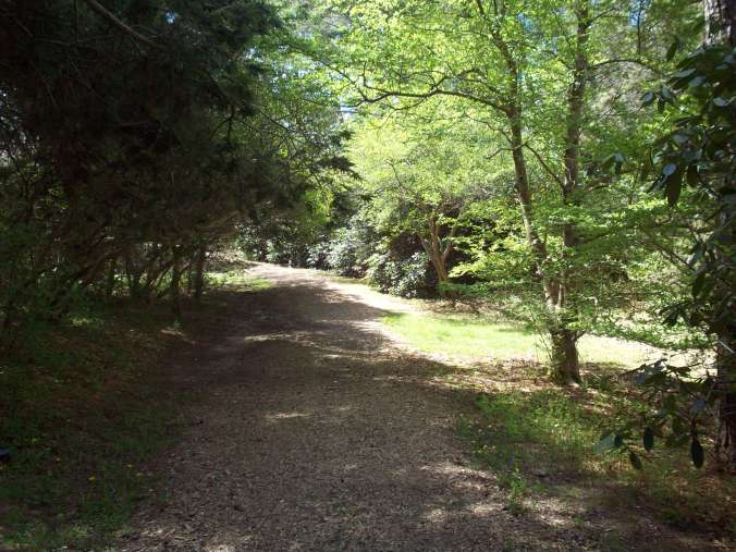 One of the many nature trails at Heritage Museum & Gardens